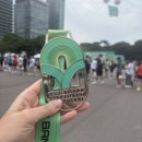 [2026 iM뱅크 코리아오픈마라톤 후기] 10km 49분 도전 실패, 실망보다 만족이 컸던 이유