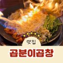 회룡역 맛집 곱분이곱창, 불꽃쇼 눈꽃치즈 곱창의 황홀한 맛