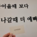 하쏘헤어 이미지