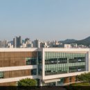 수애뇨339