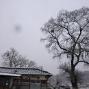 동네이발관 이미지