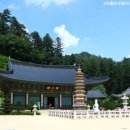 천년목장 이미지