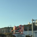 [충남/보령] 글램핑 가능한 오즈캠핑
