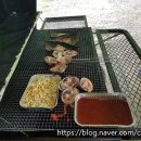 성주 산그늘펜션 이미지