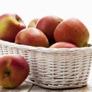 명순이네 이미지