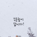 점핑운동다이어트 - 동작구 | 점핑운동다이어트