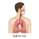 서와