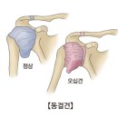 세중한의원 국제도시점 이미지