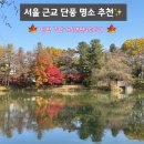 구 내수면연구소 주차장(G240) | 서울 근교 단풍 명소 추천ㅣ경기도 가평 숨은 스팟✨(청평중앙내수면연구소 단풍길, 주차)