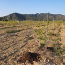 경은농장 이미지