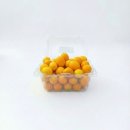 낑깡이랑 이미지