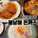 보성터미널(1층) | [보성 맛집] 벌교 돈까스 맛집 내돈내산 재방문 후기/ 봄날에 돈까스