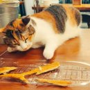 무진건어물 이미지