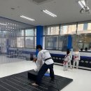 일비태권도장 이미지