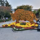 영암곤충박물관 이미지