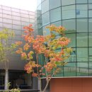 한방엑스포공원 이미지