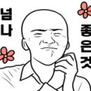 핑돼 이미지