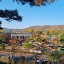 포토존 이미지