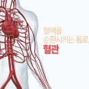 혈관을 깨끗하게 하는 음식 이미지