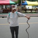 새재할매집 이미지