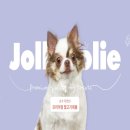 졸리졸리 이미지