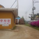 홍천불가마찜질방 이미지