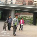 노원중증장애인 독립생활센터 Daum카페