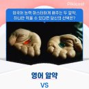 영어 마스터 알약 vs 중국어+일본어 마스터 알약 이미지