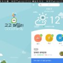 고고패밀리