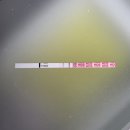 역전슈퍼 | 차 18일차 19일차 20일차 / 임테기 두줄 원포 슈얼리 슈퍼패스트 더블체크 / 역전 아기집 초음파 피검사