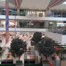 일상푸드 이미지