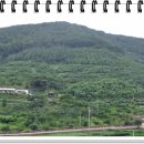 참솔농장 이미지