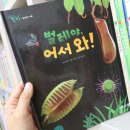 도토리중고서점