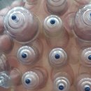 남문사우나 이미지