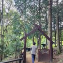 효곡동 그린숲 작은도서관 | 고성 갈모봉 자연휴양림 다녀왔습니다.(숲속의집 A동 101호)