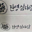 진영삼대감