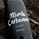 비아이태리 이미지