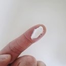 포근약국 | [주름·탄력·보습 한 번에! ] 약국 전용 식물성 PDRN 재생크림 안국약품 리쥬비더마 성분·효과 총정리