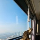 (특강)재미있는 일본어회화 이미지