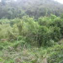 대곡면-1 이미지