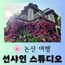 논산시사람꽃복지관 | [논산 여행] 장미가 활짝 핀 드라마 <미스터 선샤인> 촬영 세트장 "선샤인 스튜디오" 행복한 방문후기