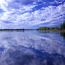 (주)신신양행 이미지