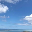 행정사법인 해사인 이미지