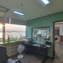 그레이스메리지컨설팅 | 부산기독교결정사로 찾은 새로운 시작, 그레이스메리지컨설팅