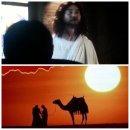 도미네로 이미지