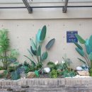 슈바이처도르프 이미지