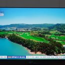 파인 힐링 이미지