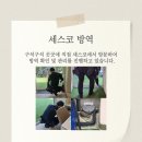 오라방역