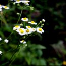 나루펜션 이미지