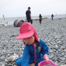 주전몽돌해변1(행정봉사실) 이미지